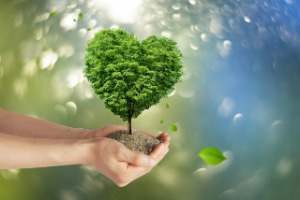 Universities Around the World Celebrate Earth Day: Promoting Sustainability and Environmental Awareness Universities Around the World Celebrate Earth Day: Promoting Sustainability and Environmental Awareness