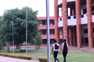 Exploring Opportunities and Challenges for International Students in India: Admission, and Visa Process Exploring Opportunities and Challenges for International Students in India: Admission, and Visa Process