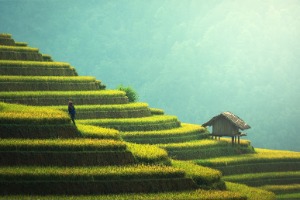 Studying Abroad in Cambodia: What International Students Should Know Studying Abroad in Cambodia: What International Students Should Know