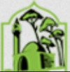 Al Imam Al-Ouzai University Logo