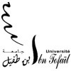 University Ibn Tofail Logo