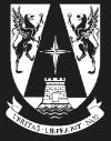 Adolfo Ibáñez University Logo