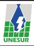 National Experimental University of Sur del Lago Logo