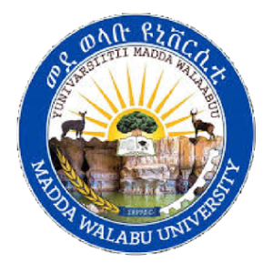 Madawalabu University Logo