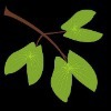 Mopani South East College Logo Mopani South East College Logo