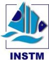 National Institute Of Science And Technologies Of The Mer Logo