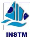 National Institute Of Science And Technologies Of The Mer Logo National Institute Of Science And Technologies Of The Mer Logo