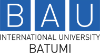 BAU International University Logo