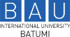 BAU International University Logo BAU International University Logo