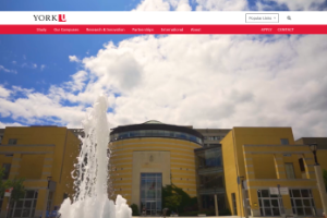 York University Website