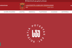Georgian Technical University Website
