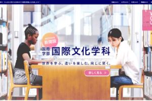 Meio University Website
