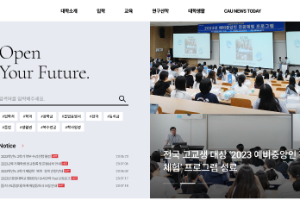 Chung-Ang University Website