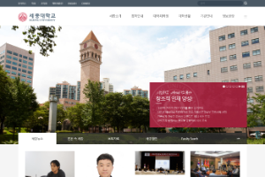 Sejong University Website