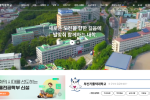 Catholic University of Pusan Website