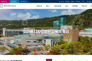 Gyeongin National University of Education Website