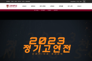 International University of Korea Website