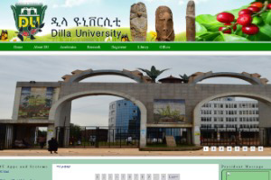 Dilla University Website