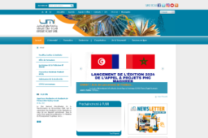 University Moulay Ismaïl Website