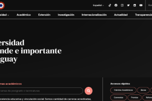National University of Asunción Website