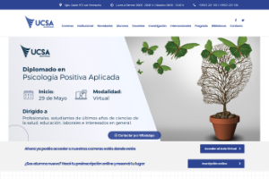 University of the Southern Cone of the Americas Website