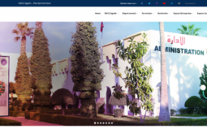 Ibnou Zohr University National School of Business and Management Agadir Website