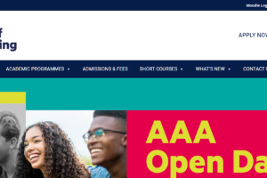 AAA School of Advertising Website