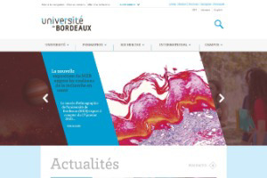 Victor Segalen Bordeaux 2 University Website