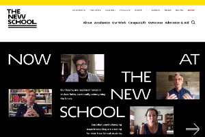 The New School Website