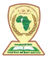 Institut Universitaire Panafricain	 Logo