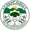 Oda Bultum University	 Logo
