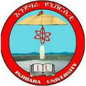 Injibara University Logo Injibara University Logo
