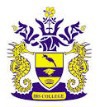 IBS College Logo