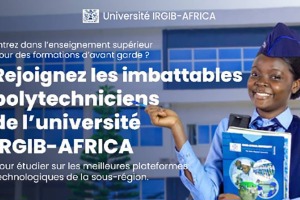 Irgib Africa University Website
