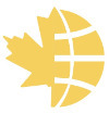 New Brunswick Bible Institute Logo