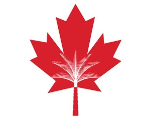 Canadian University of Dubai	 Logo