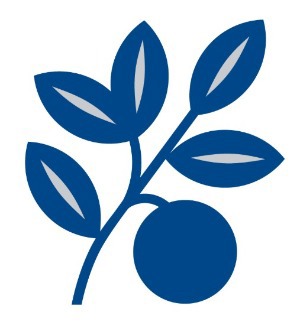 Irvine Valley College Logo