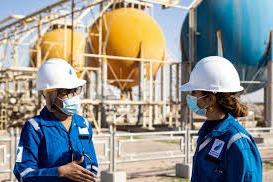 Basrah University for Oil and Gas Website