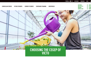 Cégep de Victoriaville Website