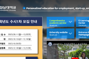 Busan Gyeongsang College Website