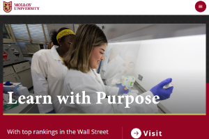 Molloy University Website