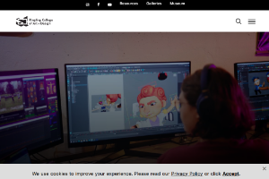 Ringling College of Art and Design Website