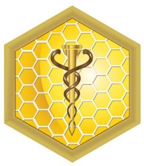 Dubai Medical University Logo