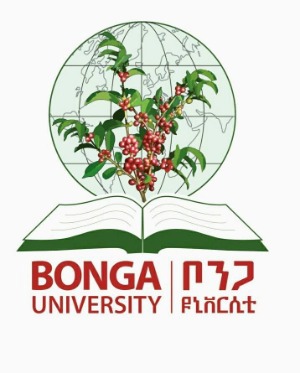 Bonga University Logo