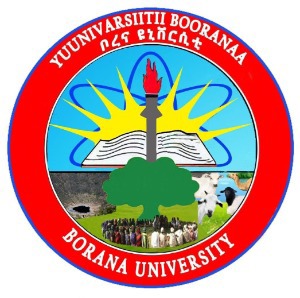 Borena University Logo