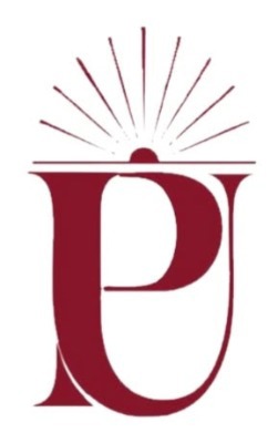 Prime University Logo