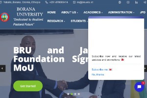 Borena University Website