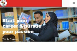 Rift Valley University Website