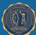 Air University Institute Logo