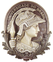 Federal University of Rio de Janeiro Logo